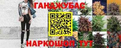 стаф Волжский