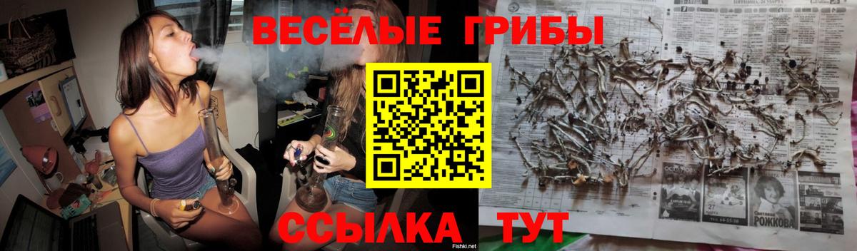 Галлюциногенные грибы мицелий Мурино